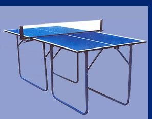 Manufacturers Exporters and Wholesale Suppliers of Table Tennis Table Meerut Uttar Pradesh